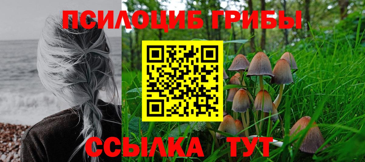 Псилоцибиновые грибы MAGIC MUSHROOMS  Вход с VPN  Ногинск 