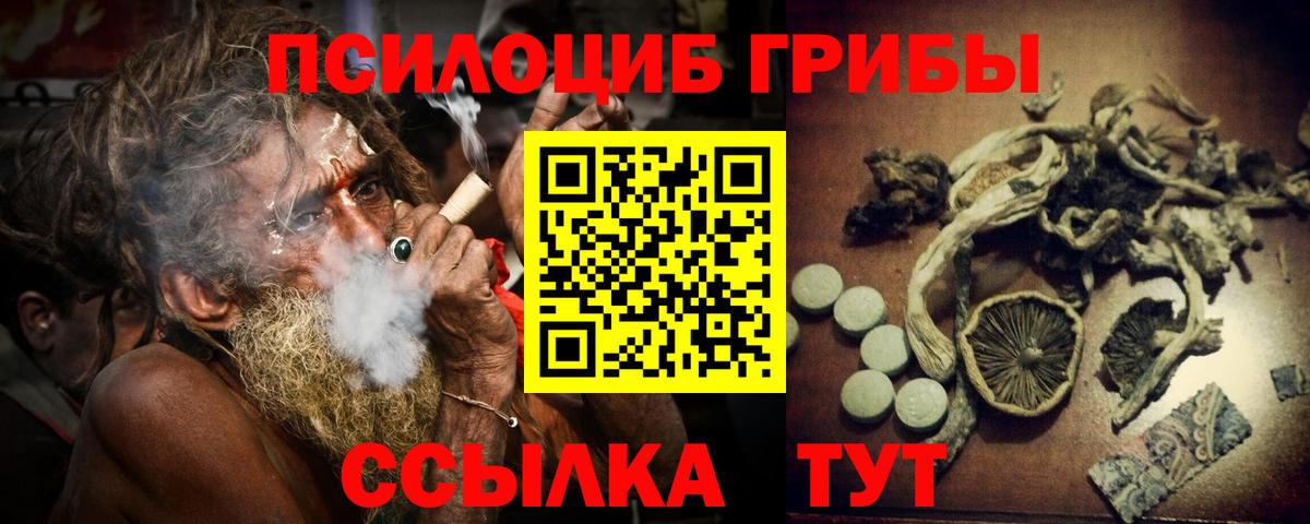 Псилоцибиновые грибы мухоморы Ногинск